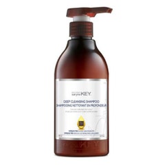 Saryna Key Deep cleansing shampoo oily hair and scalps 500 ml