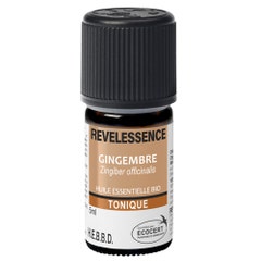 Revelessence Fresh Organic Ginger Essential Oil 5ml
