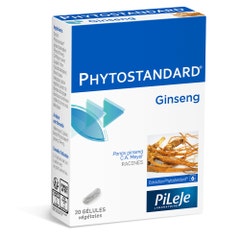 Pileje Phytostandard Phytostandard Ginseng Bioes 20 Gelules 20 gélules