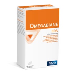 Pileje Omegabiane Omegabiane Epa X 80 Capsules 80 capsules
