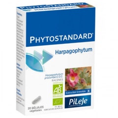 Pileje Phytostandard Phytostandard Harpagophytum 60 tablets