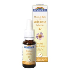 Biofloral No 37 Rosehip Organic Demeter Bach Flower Remedies Vitality Joy Of Living 25ml