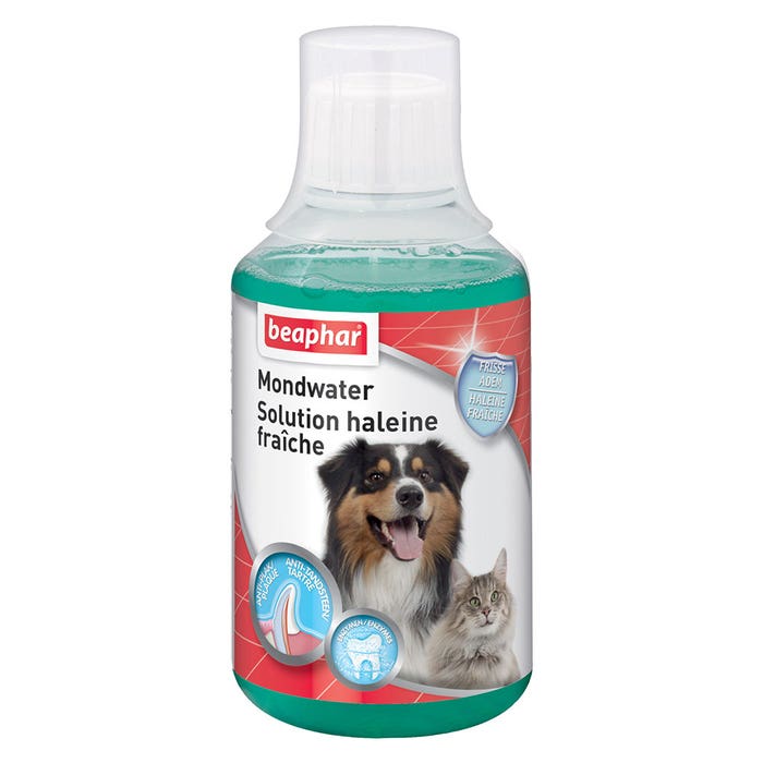 Strawberry breath solution for dogs and cats 151ml Beaphar