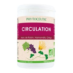 Phytoceutic Circulation Bioes x60 Tablets