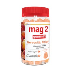Mag 2 Magnesium + Vitamin B6 x45 gummies