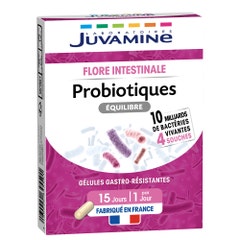 Juvamine PROBIOTICS BALANCE 4 strains Digestion 15 capsules