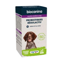 Biocanina Gastro-enterology Regulactiv Bio probiotics Firms up Large Dog stools 123g
