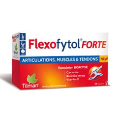 Tilman Flexofytol Forte 28 tablets