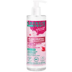 Energie Fruit Organic Plant Gloss After Shampoo Cherry Blossom &amp; Raspberry Vinegar Coloured or streaked hair 300ml