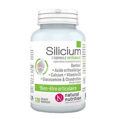Natural Nutrition Silicium Joint Wellness 120 capsules