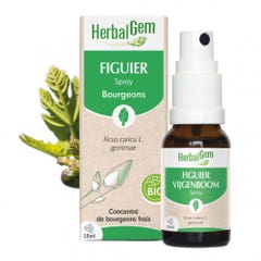 Herbalgem Bourgeons Fig Tree Spray Bio 15ml