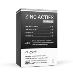 Aragan Synactifs ZincActifs 60 capsules