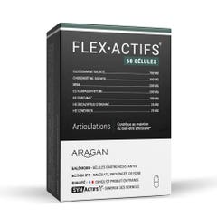 Aragan Synactifs Flexible Joints 60 Gelules