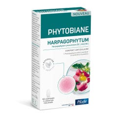 Pileje Phytobiane Harpagophytum Joint Comfort 45 tablets