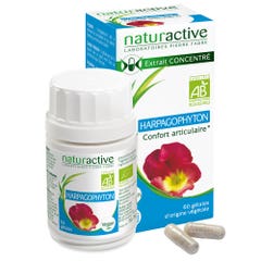 Naturactive Harpagophyton Bio Joint Comfort 60 capsules