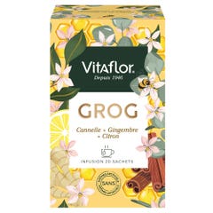 Vitaflor Invigorating Herbal Teas Grog 20 bags