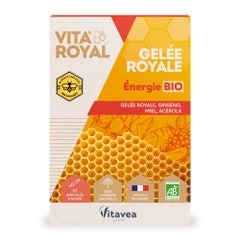 Vitavea Santé Vita'Royal Gelee Royale Energy Bioes 10 ampulas