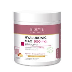 Biocyte Anti-wrinkle Hyaluronic Max 20x14g Strawberry-banana flavour 240g