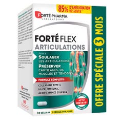 Forté Pharma Forté Flex Joints 90 gelules