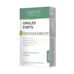 Biocyte Ongles Ongles Forts Keratine Silice Bamboo 40 Gelules 40 capsules Ongles Résistance et beauté Biocyte?Ongles Forts Keratine Silice Bamboo 40 Gelules Resistance and beauty 40 capsules