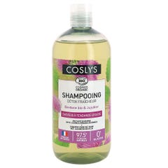 Coslys Organic Refreshing Detox Shampoo Oily hair 500ml