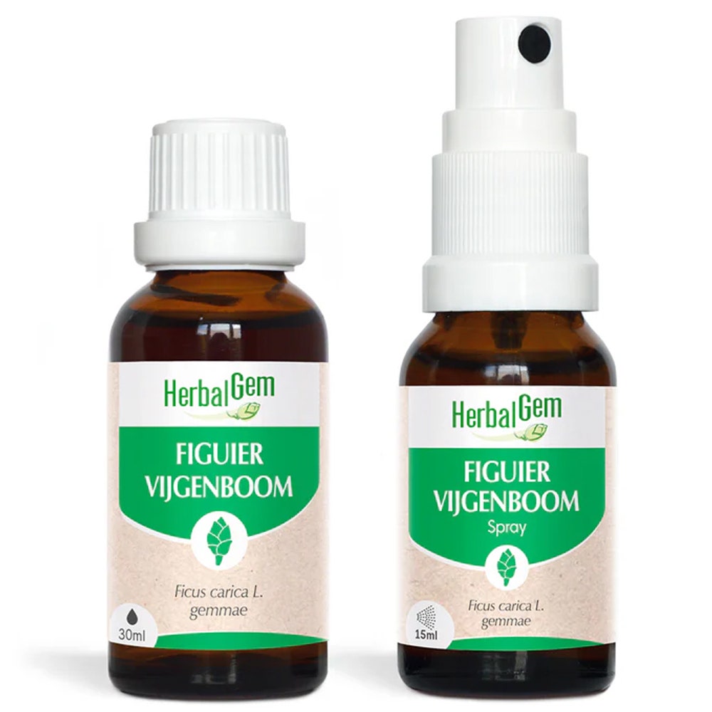 Herbalgem Tree Buds Figuier Bio Solution Buvable 30ml + Spray 15ml