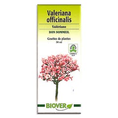 Biover Valeriana Officinalis Valerian Drops For Good Sleep 50 ml