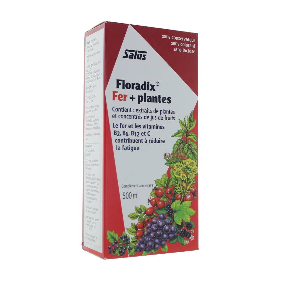 Salus Floradix Iron And Plants Energy And Strength 500 ml