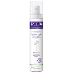Cattier Matifying Day Care Combination To Oily Skins 50ml
