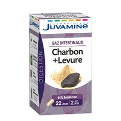 Juvamine Coal + Yeast X 45 Capsules
