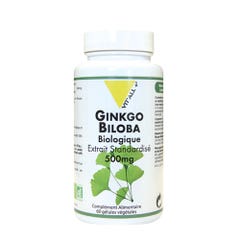 Vit'All+ Ginkgo Biloba Bioes Standardised Extract 500mg 60 capsules