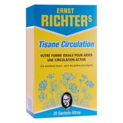 Dr. Theiss Naturwaren Ernst Richter Tea Blood Flow 20 Sachets 20 SACHETS FILTRES