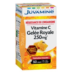 Juvamine Royal Jelly + Vitamin C 50 Gelules