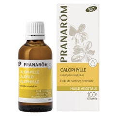 Pranarôm Plant oils Organic Calophylla Plant Oil 50 ml