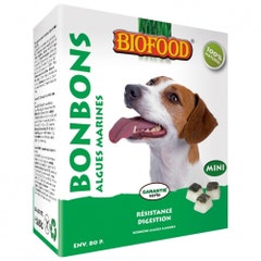 Biofood Mini Doggy Treats With Seaweed Resistance And Digestion X 80