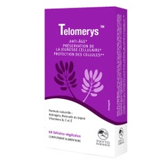 Phytoresearch Telomerys X 60 Capsules