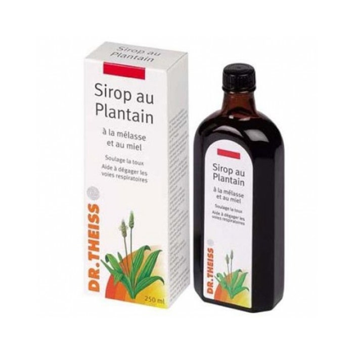 Plantain Day Syrup 250ml Dr. Theiss Naturwaren