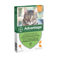 Advantage Solution Spot-on For Cats Under 4 kg