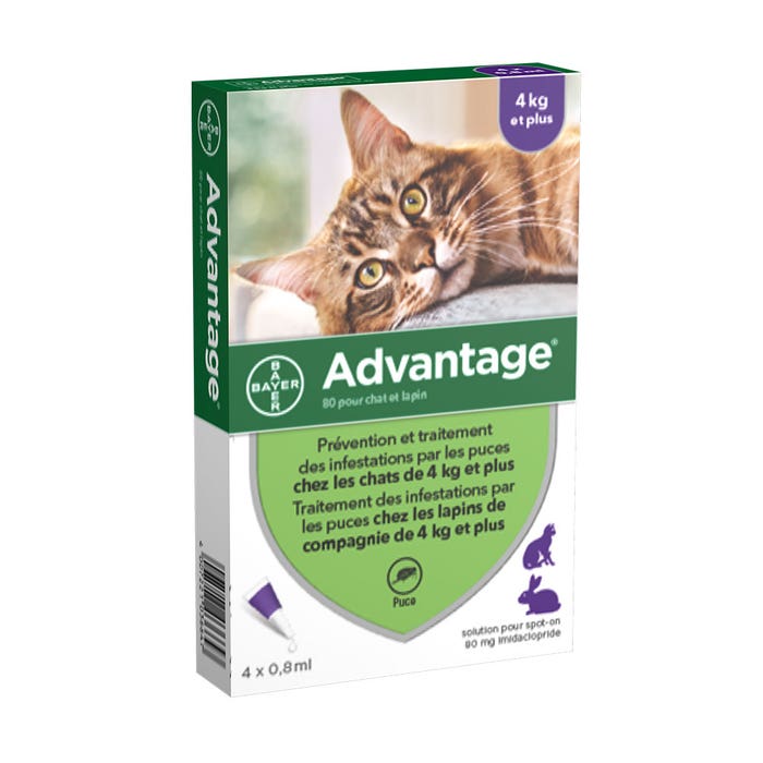 Solution Anti Flea For Cats > 4x0.8ml Advantage