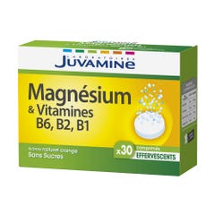 Juvamine Fizz Magnesium & Vitamins B6 B2 B1 30 effervescent tablets