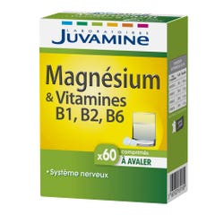 Juvamine Fizz Magnesium & Vitamins B6 B2 B1 x 60 ChewableTablets