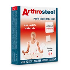 Nutri Expert Arthrosteol Heating Patches X10