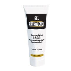 Nutri Expert Artrogenol Joint Comfort Gel 100ml