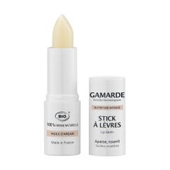 Gamarde Nutrition Intense Lipstick 3.80g