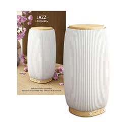 Pranarôm Diffusion Jazz Ceramic Bamboo Diffuser