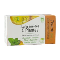 Nutrigée Herbal Tea of 5 Bioes X20