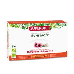Superdiet Fluid Extract Of Echinacea X 20 Phials / 15 ml