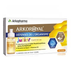 Arkopharma Arkoroyal Royal Jelly + Lactic Ferments + Vitamin D3 Junior 5 Single Doses Arkoroyal 5x10ml