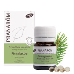 Pranarôm Essential oils Organic Scots Pine Essential Oil 60 Pearls