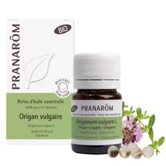Pranarôm Essential oils Oregano Vulgario Organic 60 Pearls The Essentials Oils 60 Perles